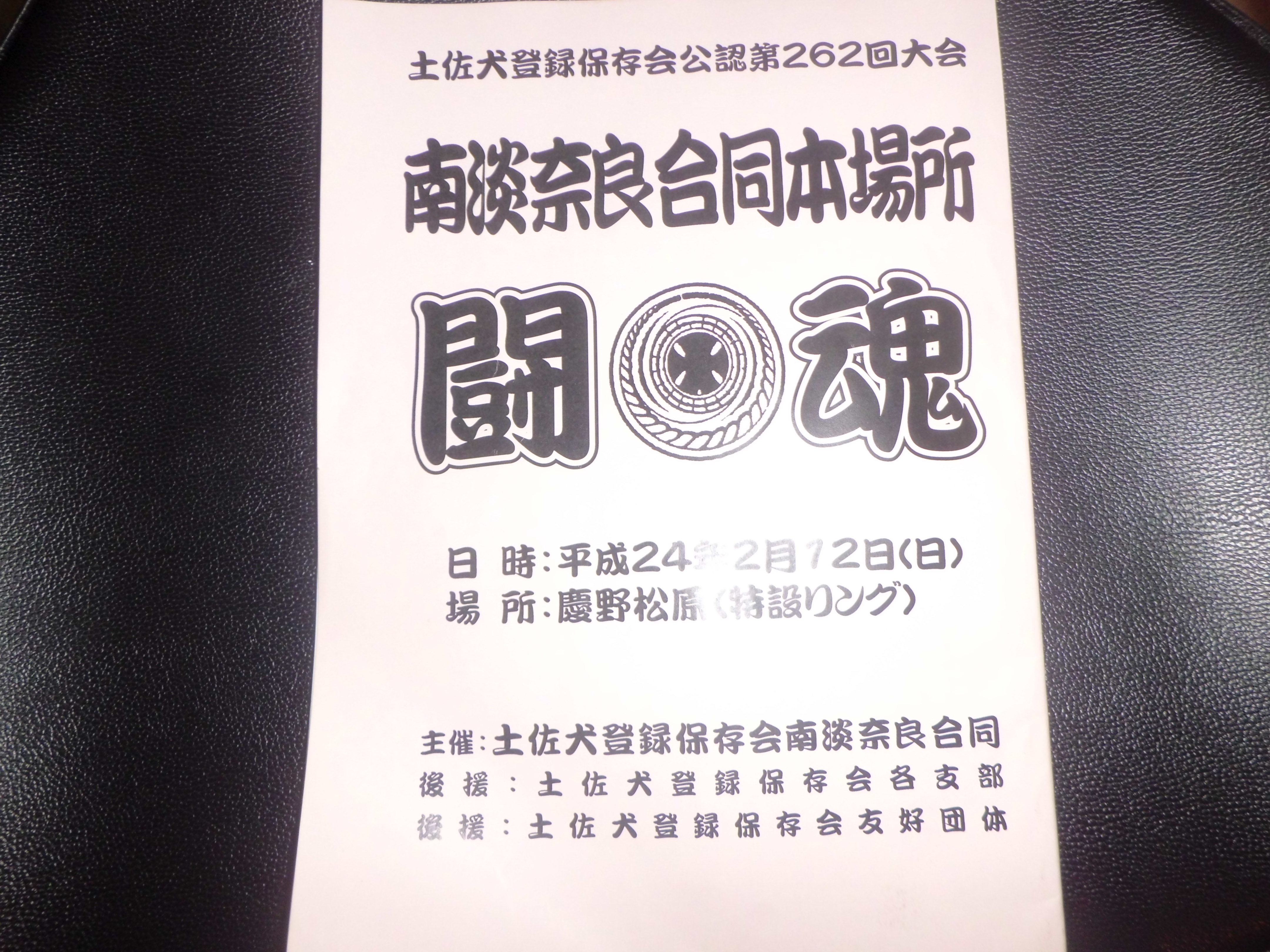 淡路の大会 土佐犬達と老いたちび犬